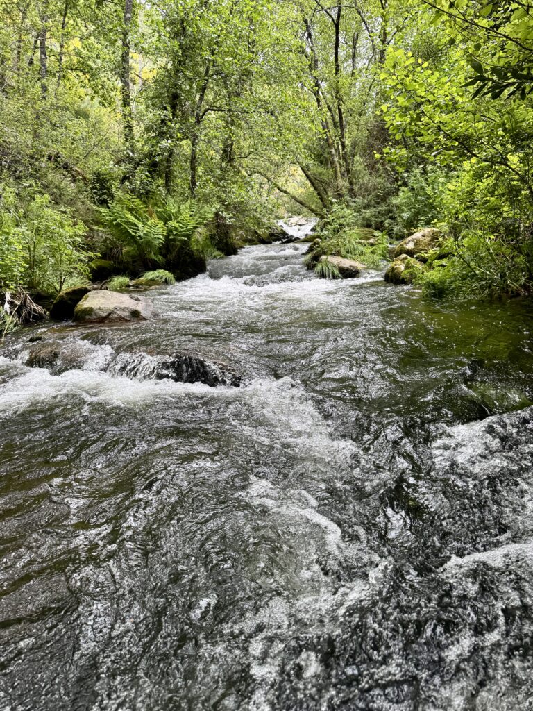 2025 05 08 14.07.43 échelonné