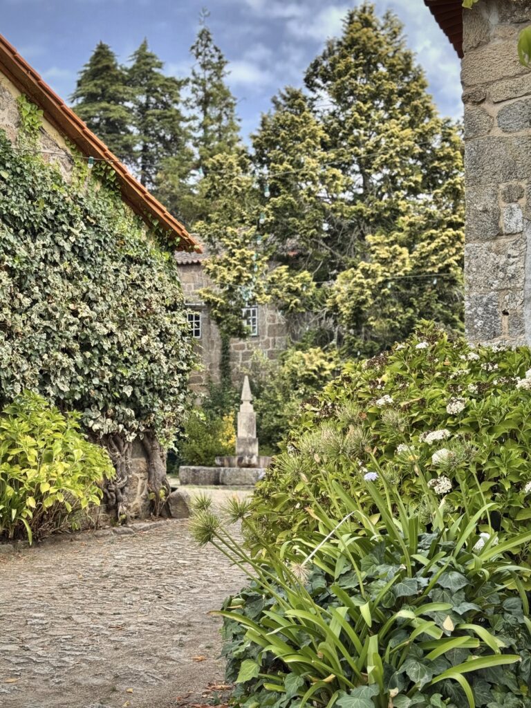 2025 09 20 11.44.50 1 escalado