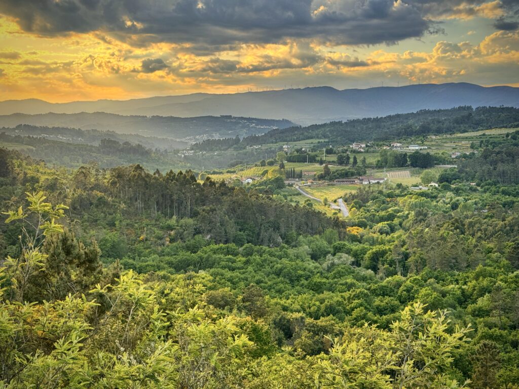 Photo May 07 2025 7 36 39 PM1 scaled