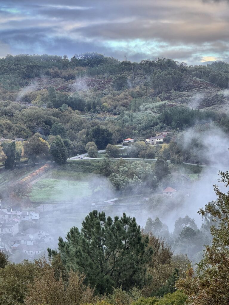 Foto Nov 17 2025, 8 56 03 AM